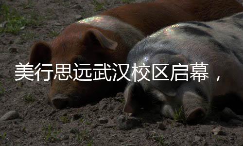 美行思远武汉校区启幕，不定期更新……