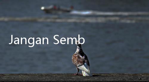 Jangan Sembarang Rekam Insiden, Dampaknya Bisa Seperti Ini